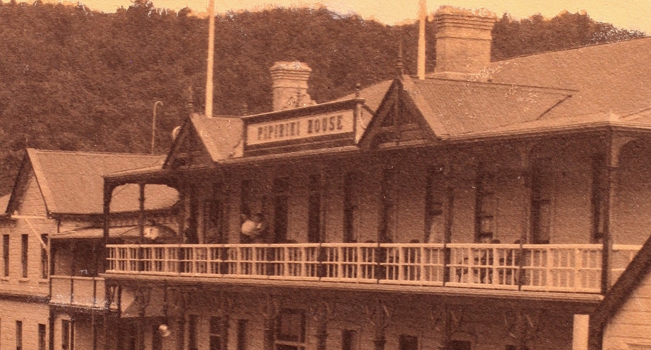 Original Antique Hotel Pipiriki House Wanganui River NZ Luggage Label Tag 8